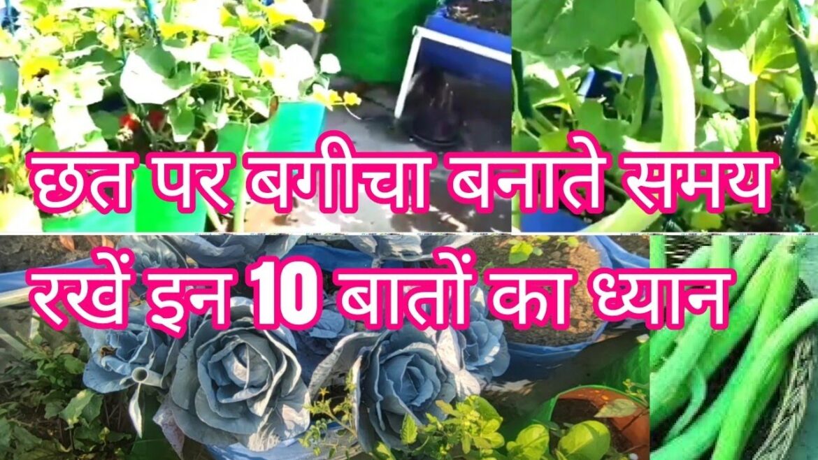 Terrace Garden Design Tips: 10 Ways to Create a Beautiful Rooftop Garden