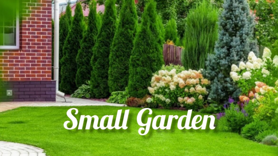 2025 Small Garden Ideas: How to Maximize Your Space with Beautiful Plants 2025 Small Garden Ideas: How to Maximize Your Space with Beautiful Plants