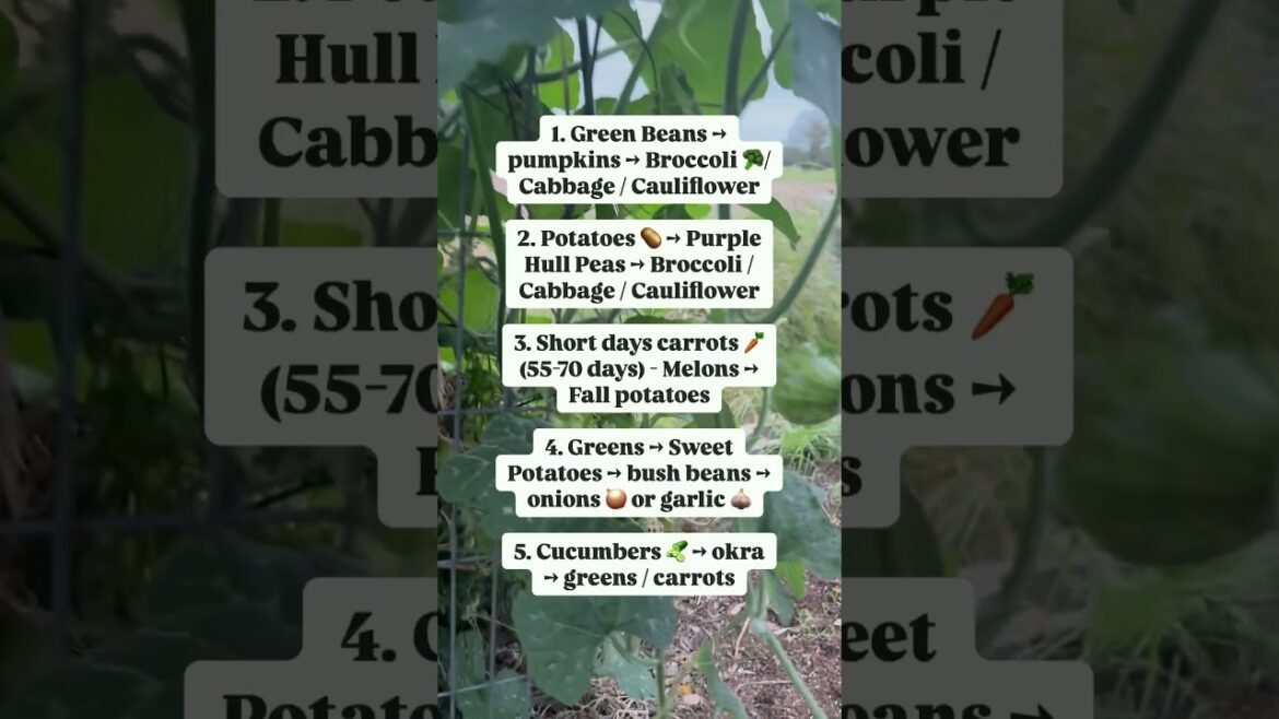 Spring Garden Plans to Plant RIGHT NOW