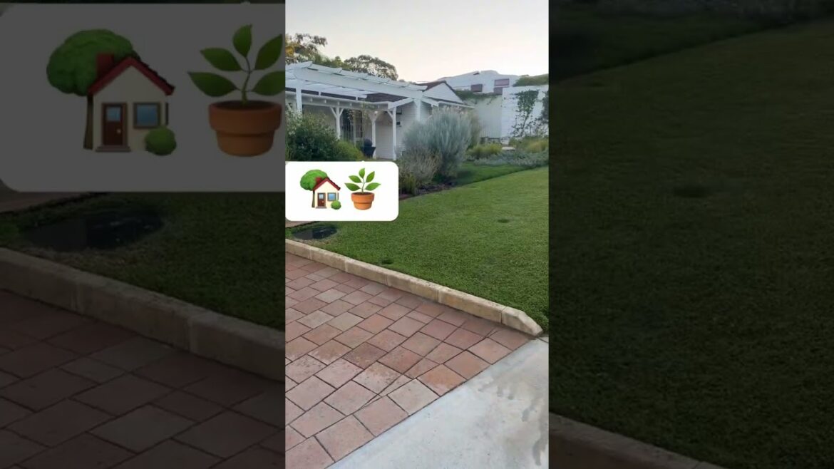 Transforming landscapes with the power of irrigation! Watch as we bring this garden to life.