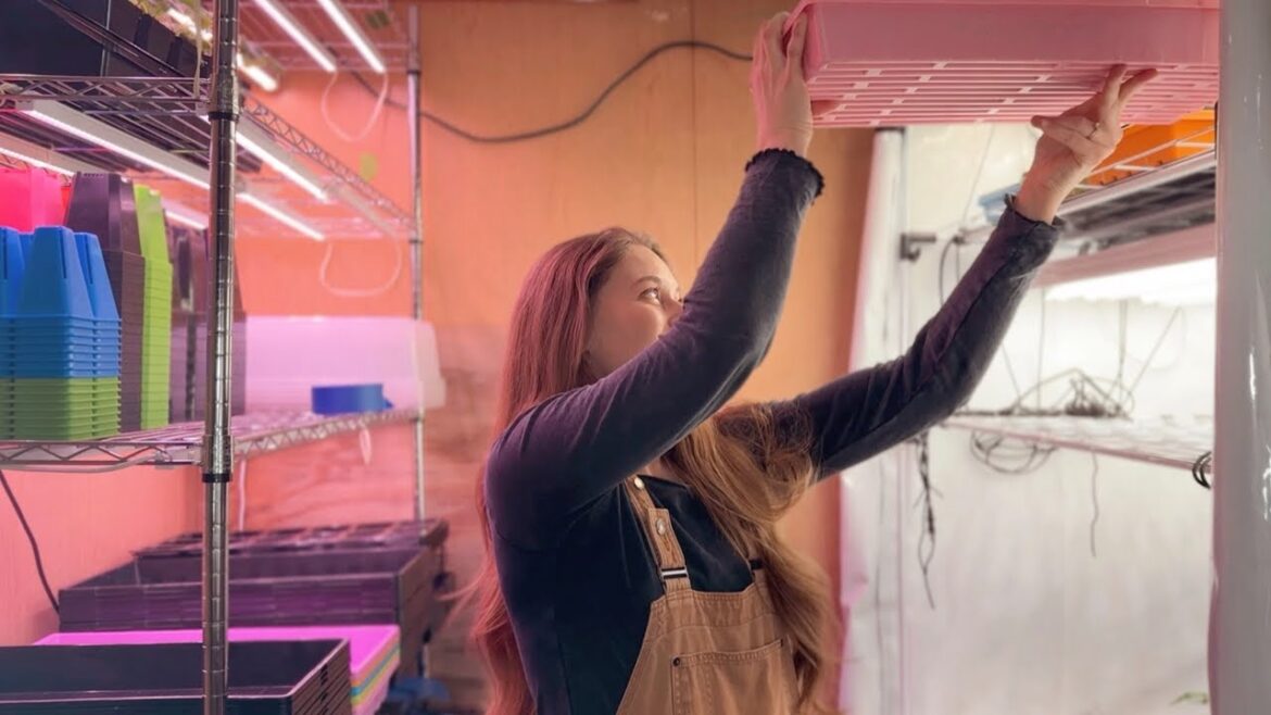 Let The 2025 SEED STARTING Season BEGIN! & My Tips For Planning Succession Sowing In Your Garden!