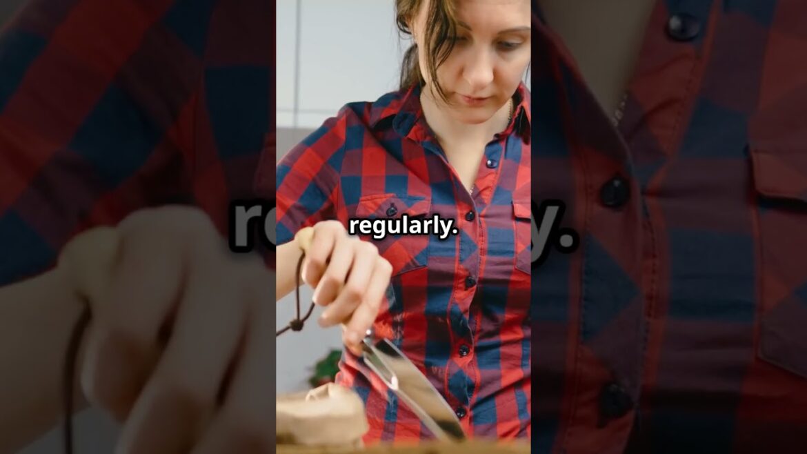 🌿 6b Zone Container Gardening in the Fall and Winter: Your Complete Guide! 🍁❄️