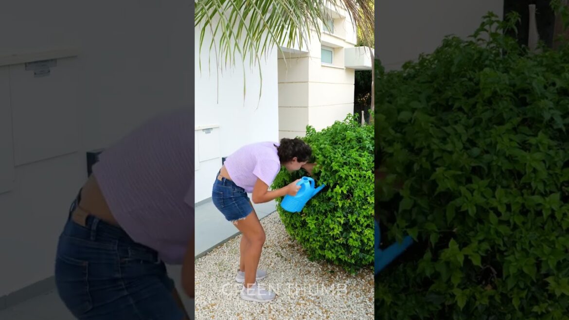 Wow! Super Useful Gardening Tips for Beginners!