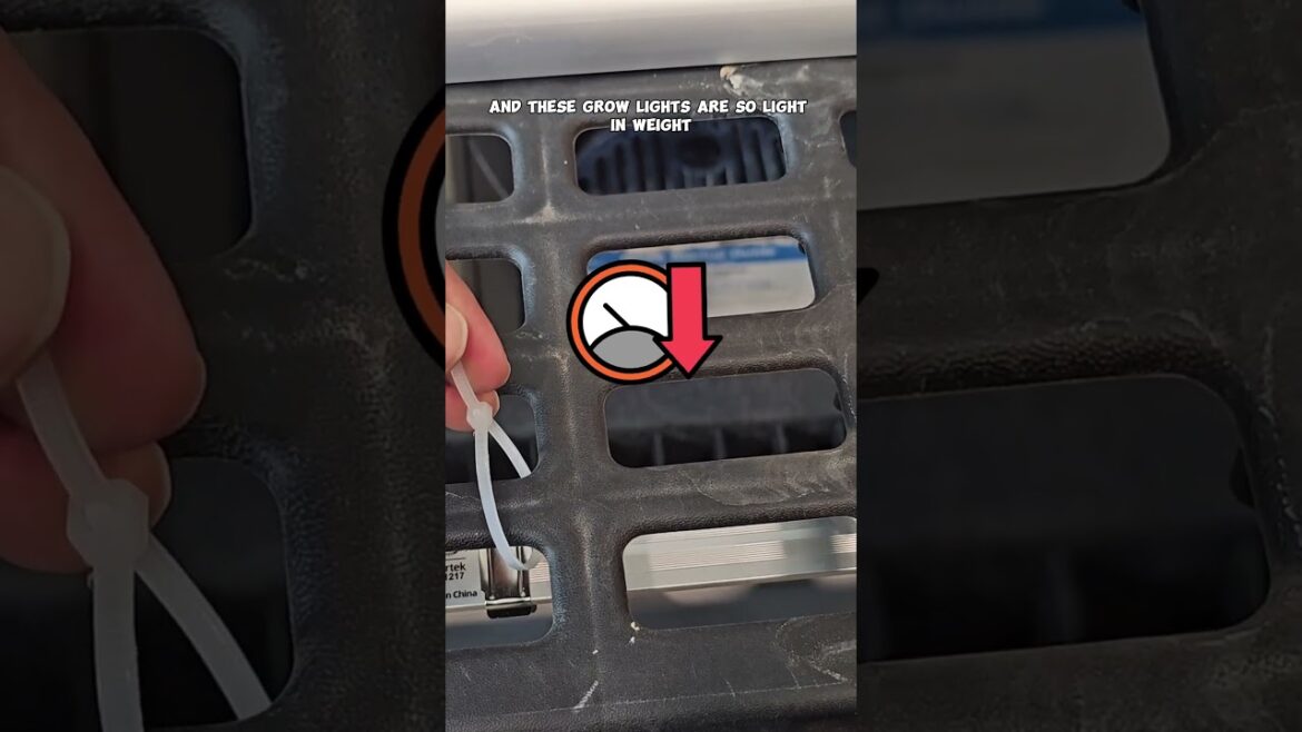 Discover how to elevate your indoor garden with Barrina Grow Lights!