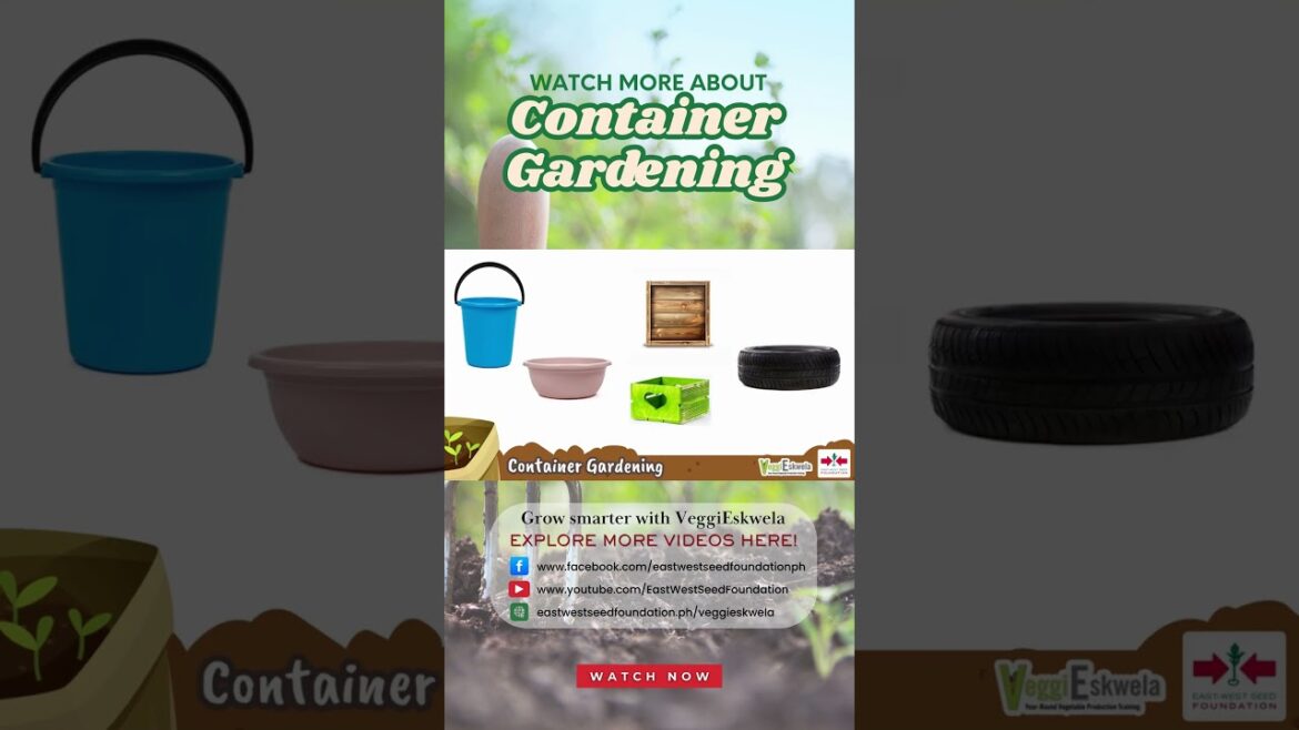 Learn more about Container Gardening! #homegardening #gardening #homegrownharvestph