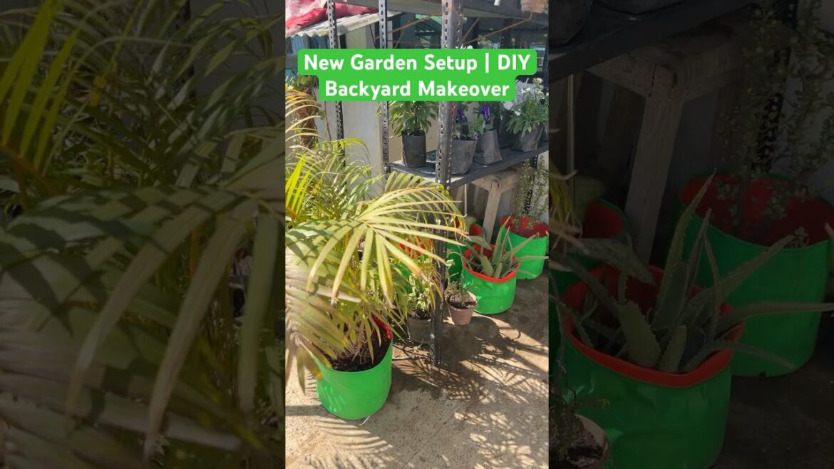 Terrace garden setup | Terrace Garden Overview ideas #beautifulgardens #shorts #shortsviral Terrace garden setup | Terrace Garden Overview ideas #beautifulgardens #shorts #shortsviral