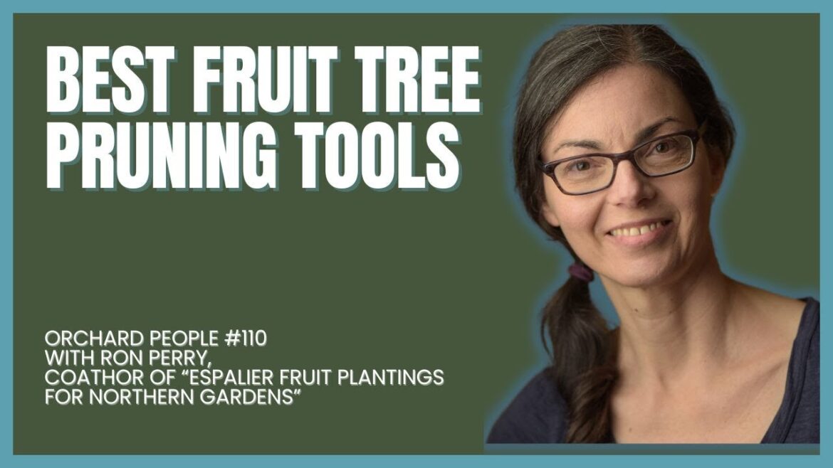 Best Fruit Tree Pruning Tools with Ron Perry #fruittreepruning #fruittreecare Best Fruit Tree Pruning Tools with Ron Perry #fruittreepruning #fruittreecare