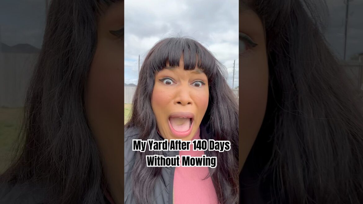 The Surprising Effects of Not Mowing Your Lawn