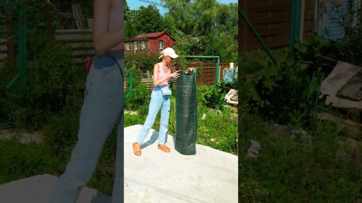 DIY organic compost for a harvestful garden ☘