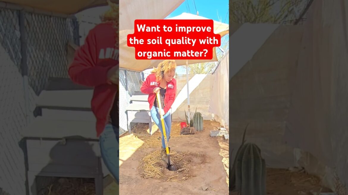 Want to improve your soil quality? #gardentips #gardening #compost