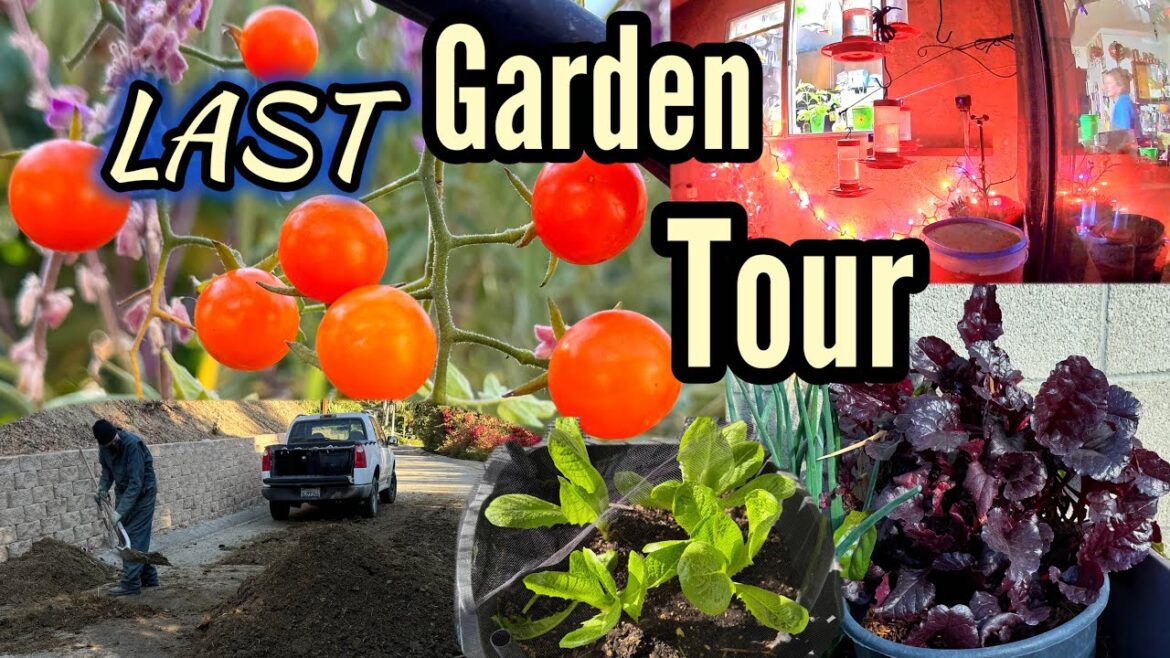 Last Garden Tour ❤️ Tips on Growing Vegetables Container Gardening PEST Control Composting Free Soil