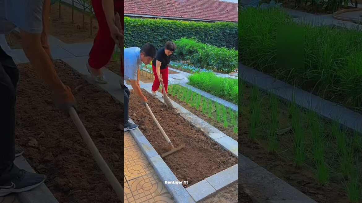 Grow Your Own Veggies & Save Money! 🥦🌿 ~ Mini Wood Craft 👍