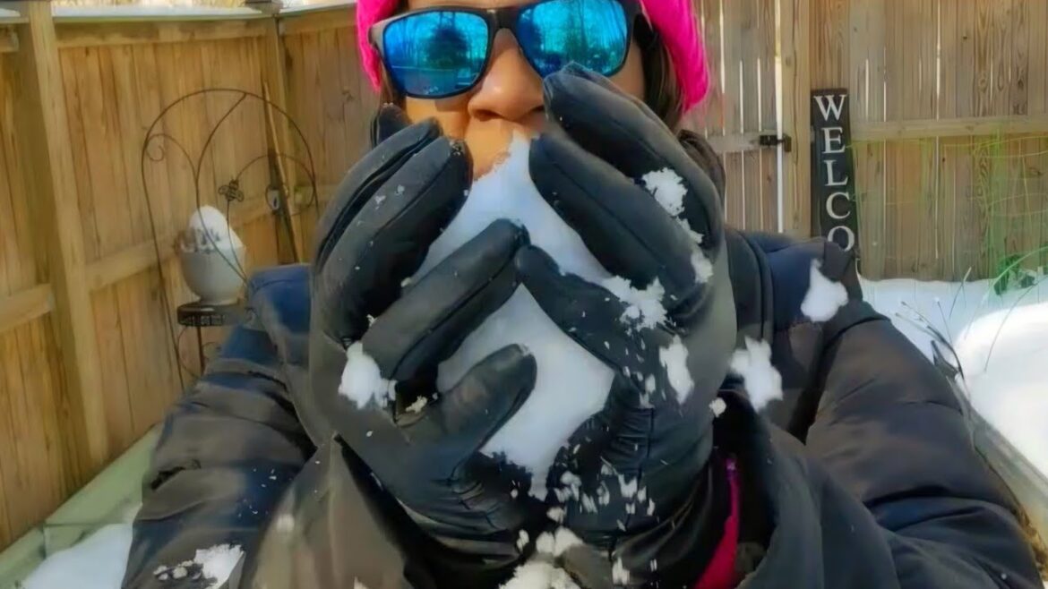 🌱 Winter Gardening Vibes: Thriving on YouTube Even If TikTok Shuts Down! ❄️✨ "🌱 Winter Gardening Vibes: Thriving on YouTube Even If TikTok Shuts Down! ❄️✨"