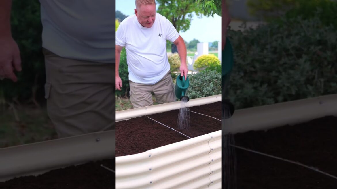 LandGuard Transform Your Garden