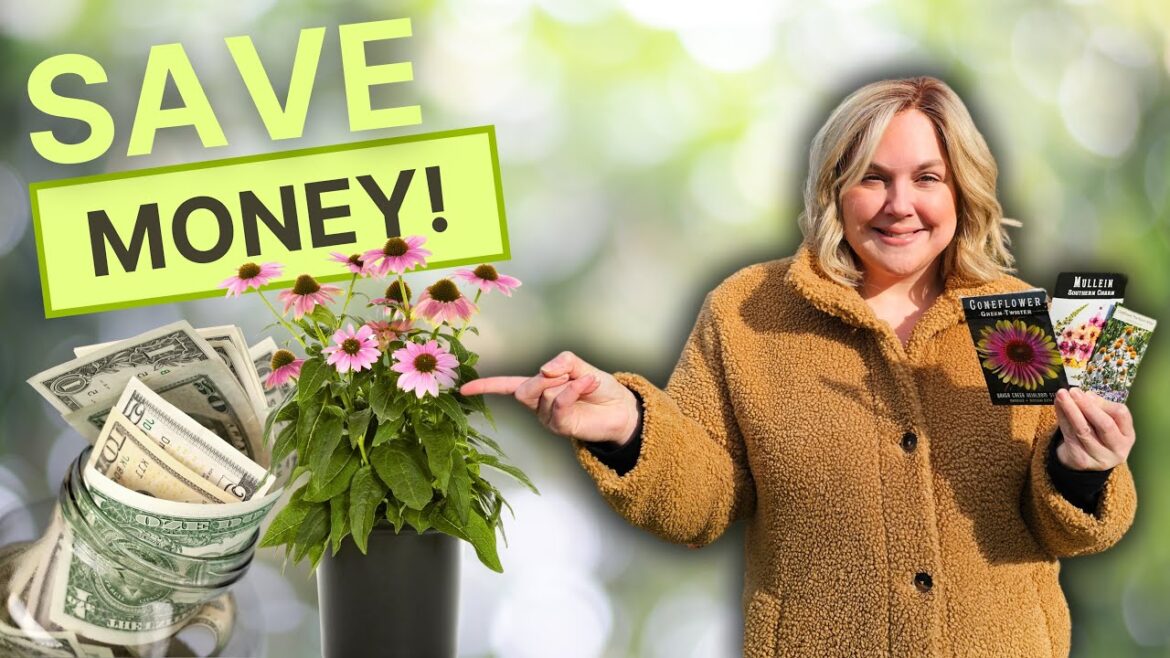 The Perennial Growing HACK That Saves You HUNDREDS! Start These 10 Flowers NOW! The Perennial Growing HACK That Saves You HUNDREDS! Start These 10 Flowers NOW!