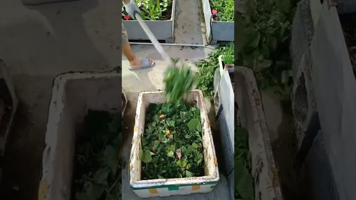 4292 🌹🥒🍀🌷🍈 #agricultura #veggie #farmingsimulator #newholland #farmers