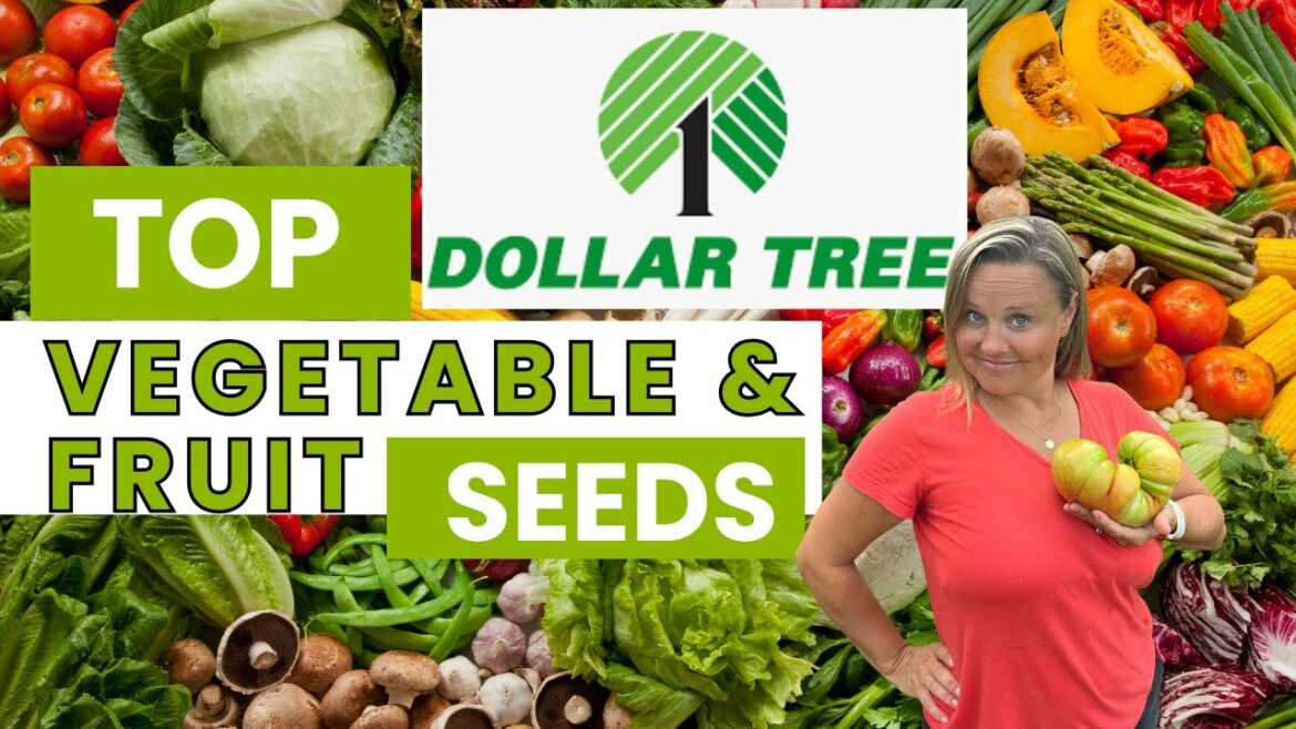 Grow Your Own Food on a Budget: My Top Dollar Tree Vegetable and Fruit Seeds | The Southern Daisy Grow Your Own Food on a Budget: My Top Dollar Tree Vegetable and Fruit Seeds | The Southern Daisy