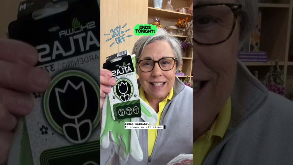 Comment APP to gain access inside my phone APP garden shop! 20% off the entire APP store! Extra Comment APP to gain access inside my phone APP garden shop! 20% off the entire APP store! Extra