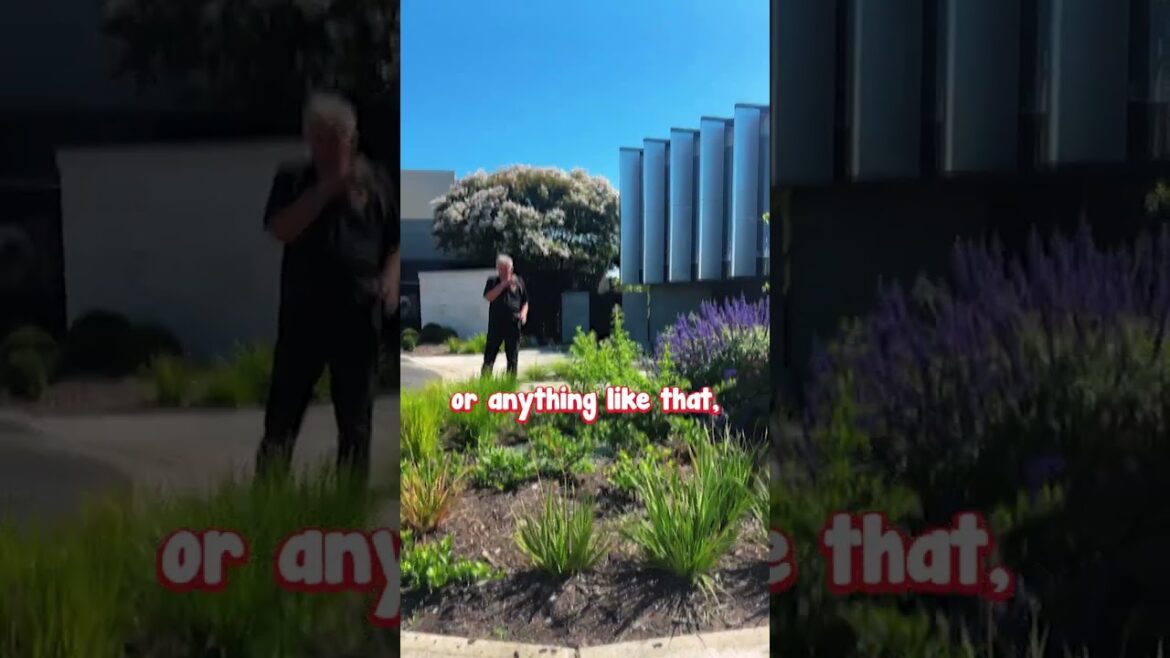 Imagine Living in This Beautiful Area With These Nature Strip Gardens.🙌🌞🌾