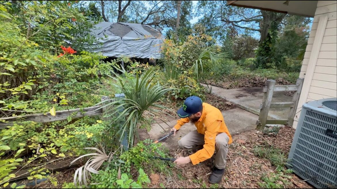 Mowing The Backyard Of Someones House Without Permission – What Can Go Wrong?? Mowing The Backyard Of Someones House Without Permission - What Can Go Wrong??