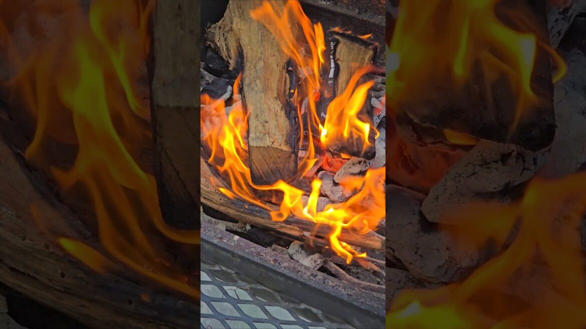 Kiln Dried Firewood | Premium Blend | SOUTH JERSEYS FIREWOOD & GARDEN SUPPLY LLC | @Realhotwood