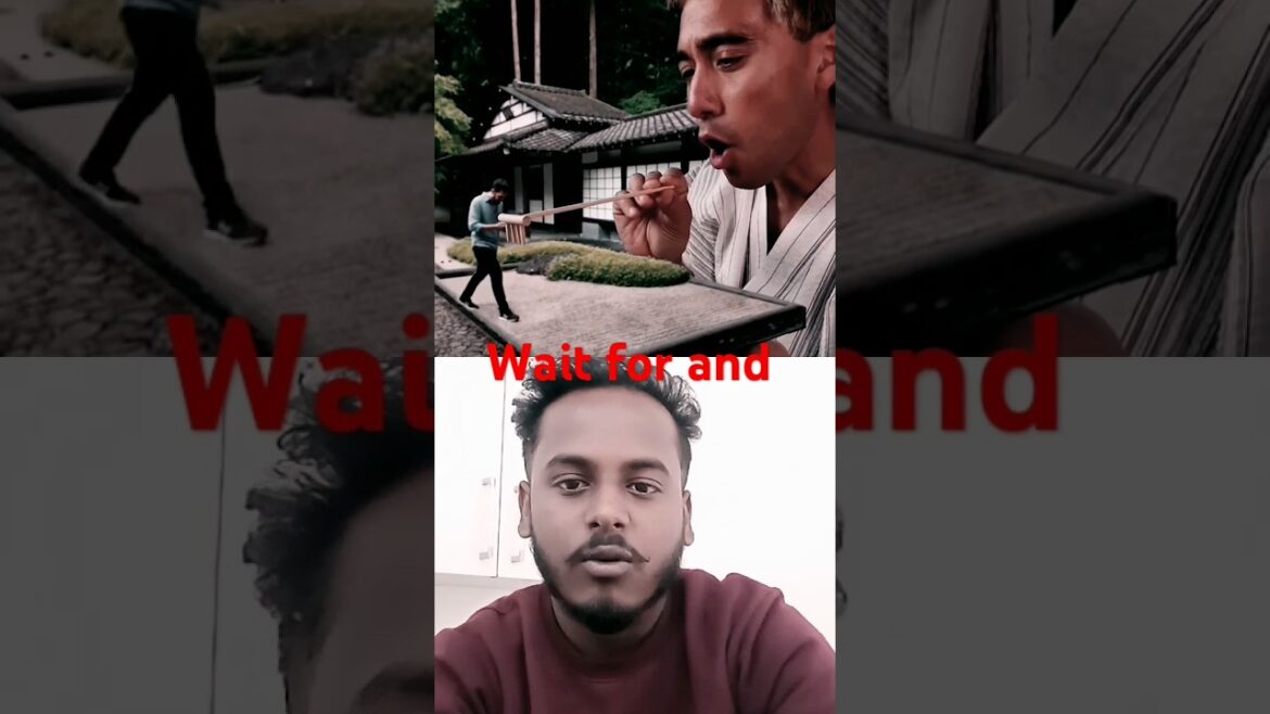 He BROKE the #1 RULE of Zen Gardens