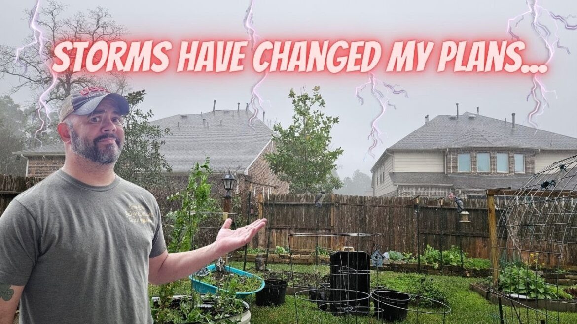 Rainy Day Change of Plans, 2 Cup Pepper Planting Method || DHBG