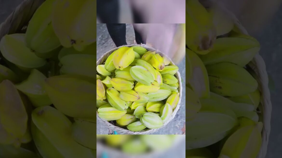 Fields of Gold: Harvest Glory #growfresh #food Fields of Gold: Harvest Glory #growfresh #food