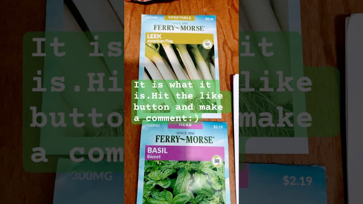 Seeds from Community Fundraising Event and my Dollar Tree Gardening Supply Finds