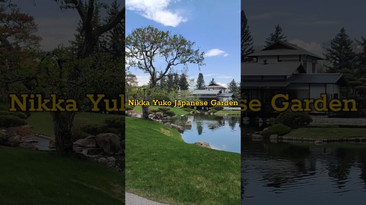 This small town in Canada has a Japanese Garden! #lethbridge #japanese #garden #vlog