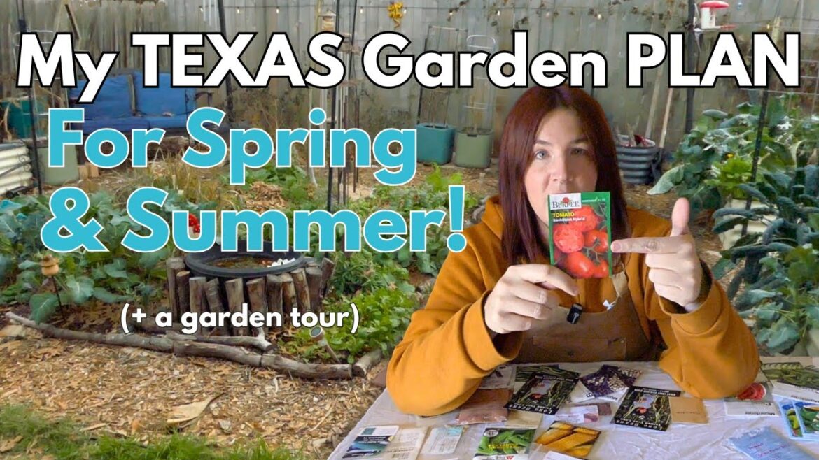 Texas Garden Plan for SPRING & SUMMER! Texas Garden Plan for SPRING & SUMMER!