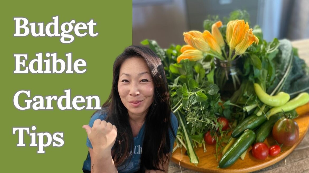How to Start a Budget-Friendly Edible Garden (Save Money with Cheap Tips!)