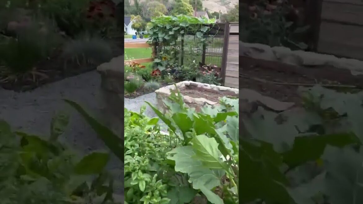 Beautiful Utah Garden Design Ideas | #BackyardDesign #LandscapingIdeas #UtahGardens Beautiful Utah Garden Design Ideas | #BackyardDesign #LandscapingIdeas #UtahGardens