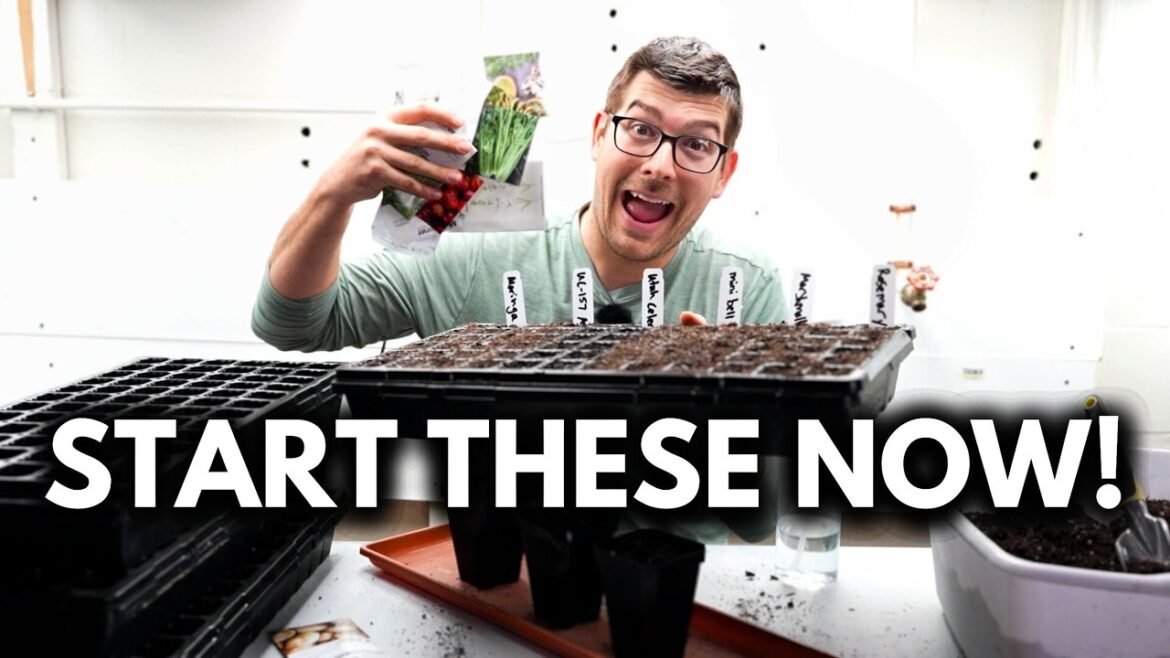 Start These Vegetable & Herb Seeds NOW in February!