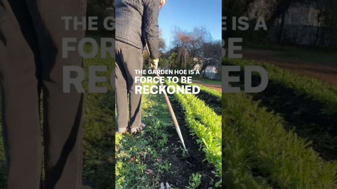 Comment Hoe and I’ll DM the link