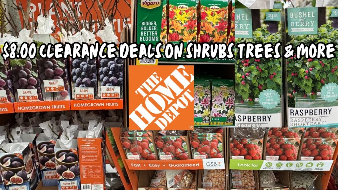 Home Depot Garden Center 2025 🌿🌸 ($8.00 Deals!) Home Depot Garden Center 2025 🌿🌸 ($8.00 Deals!)