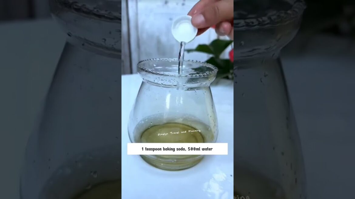 Tips for your garden #shortsviral #jimelyn  #garden