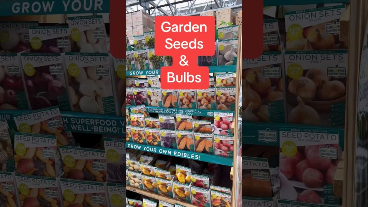 Garden Seeds and Bulbs at Home Depot, #short #shorts #seeds #bulbs #plants #garden