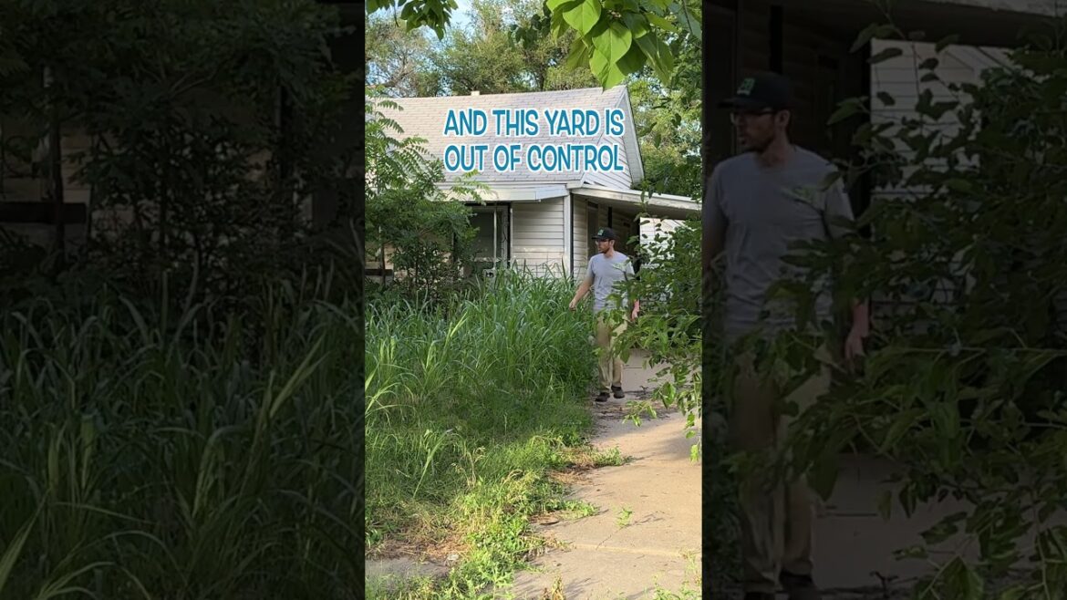 PICTURE living next to THIS and not knowing what to do…