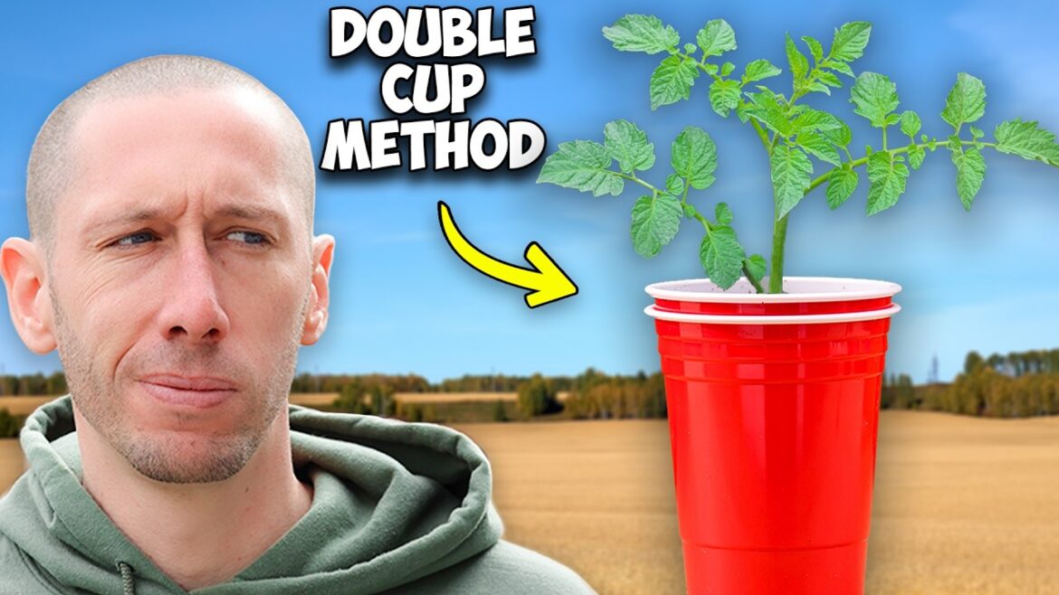 James Prigioni: 7 Clever Gardening Hacks You’ll Wish You Knew Sooner 7 Clever Gardening Hacks You'll Wish You Knew Sooner