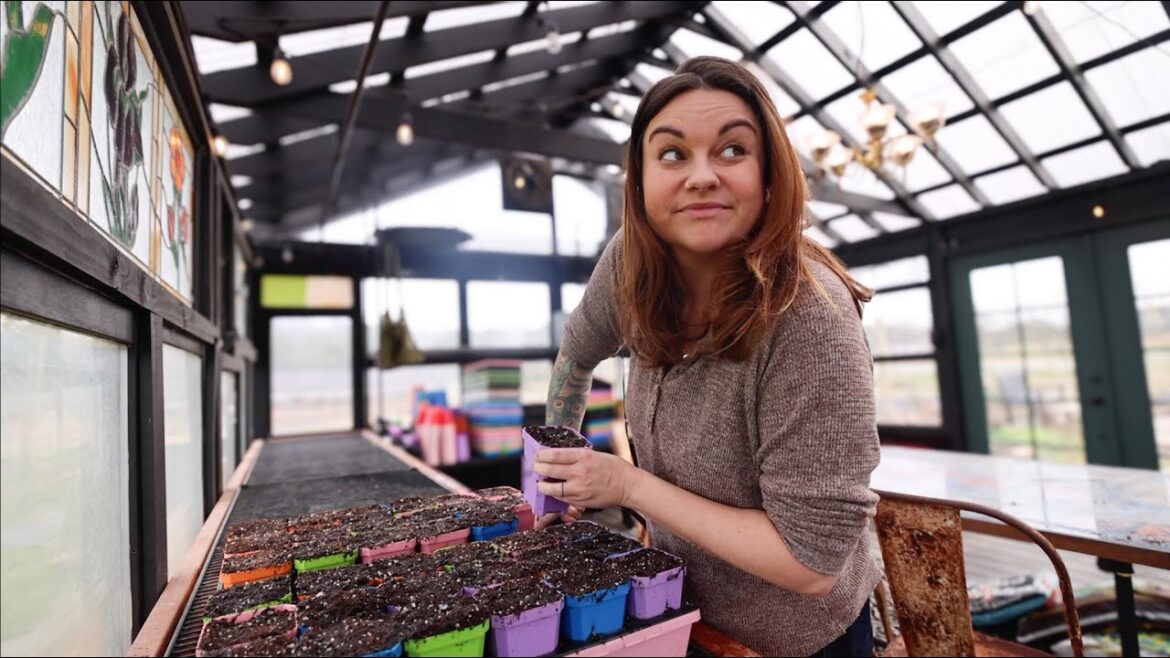 Roots and Refuge Farm: Seed starting chat (Why I’m not talking politics) | VLOG Seed starting chat (Why I'm not talking politics) | VLOG