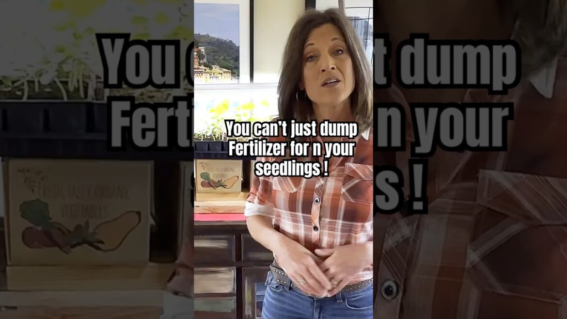 3 Mistakes Gardeners Make  with Seedlngs, Pt 1
