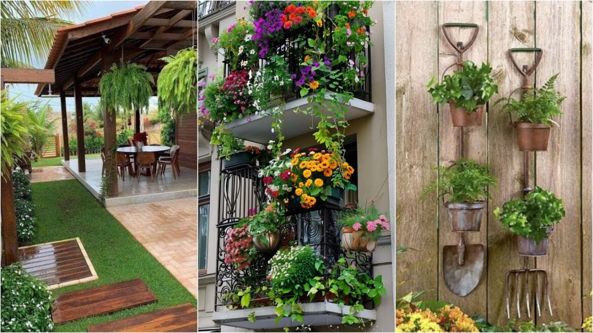 garden design,small garden,garden ideas,garden,small garden design,garden design ideas,small garden garden design,small garden,garden ideas,garden,small garden design,garden design ideas,small garden