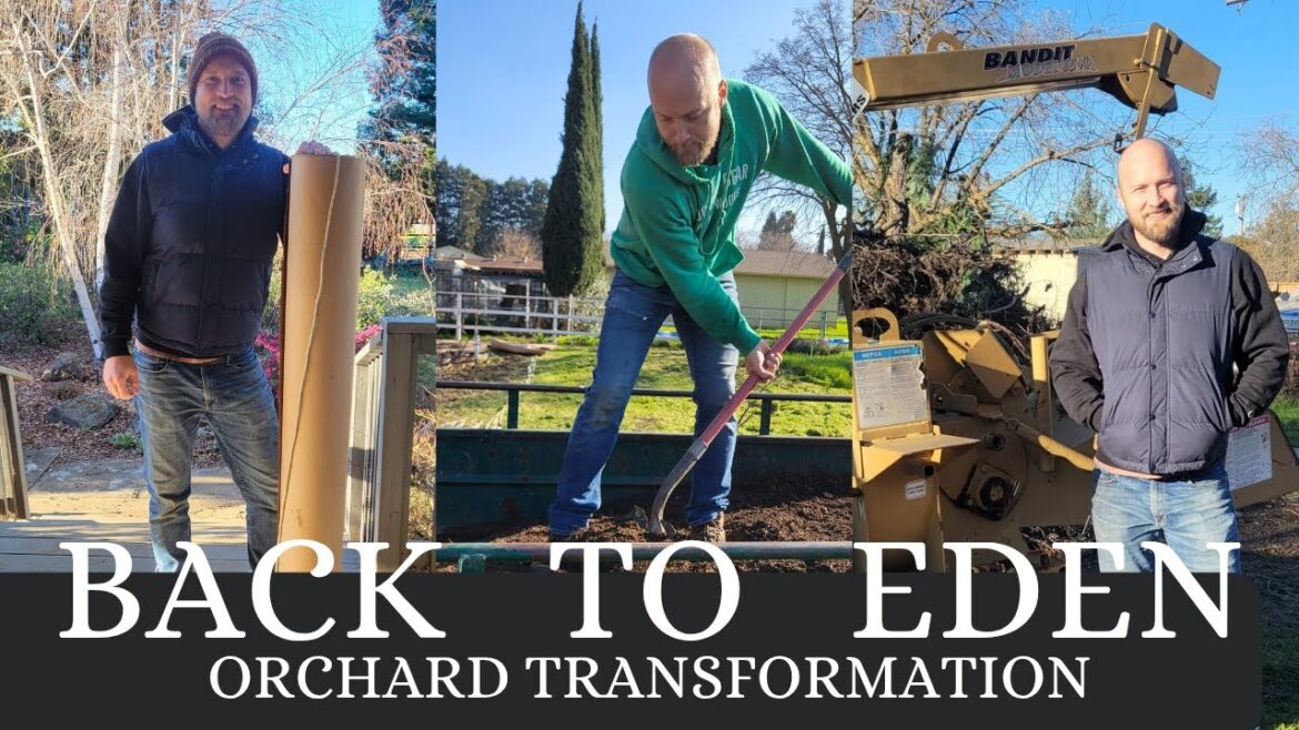 TRANSFORMING Our Homestead