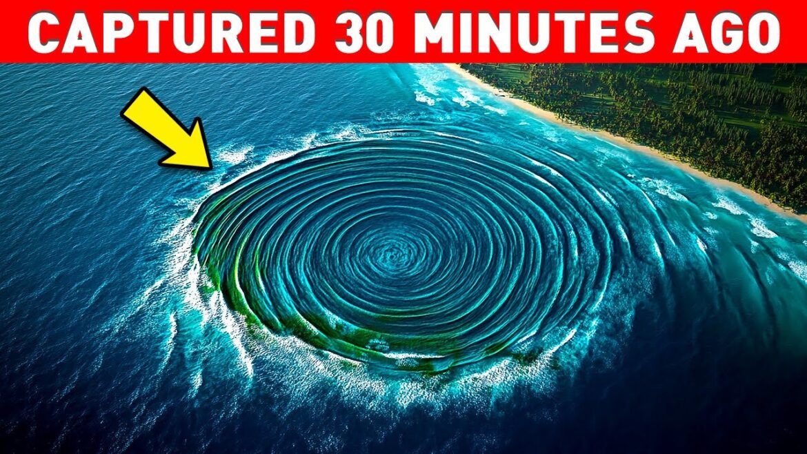 Weird CIRCLES Appear Near Californian Coast! What Are They? Weird CIRCLES Appear Near Californian Coast! What Are They?