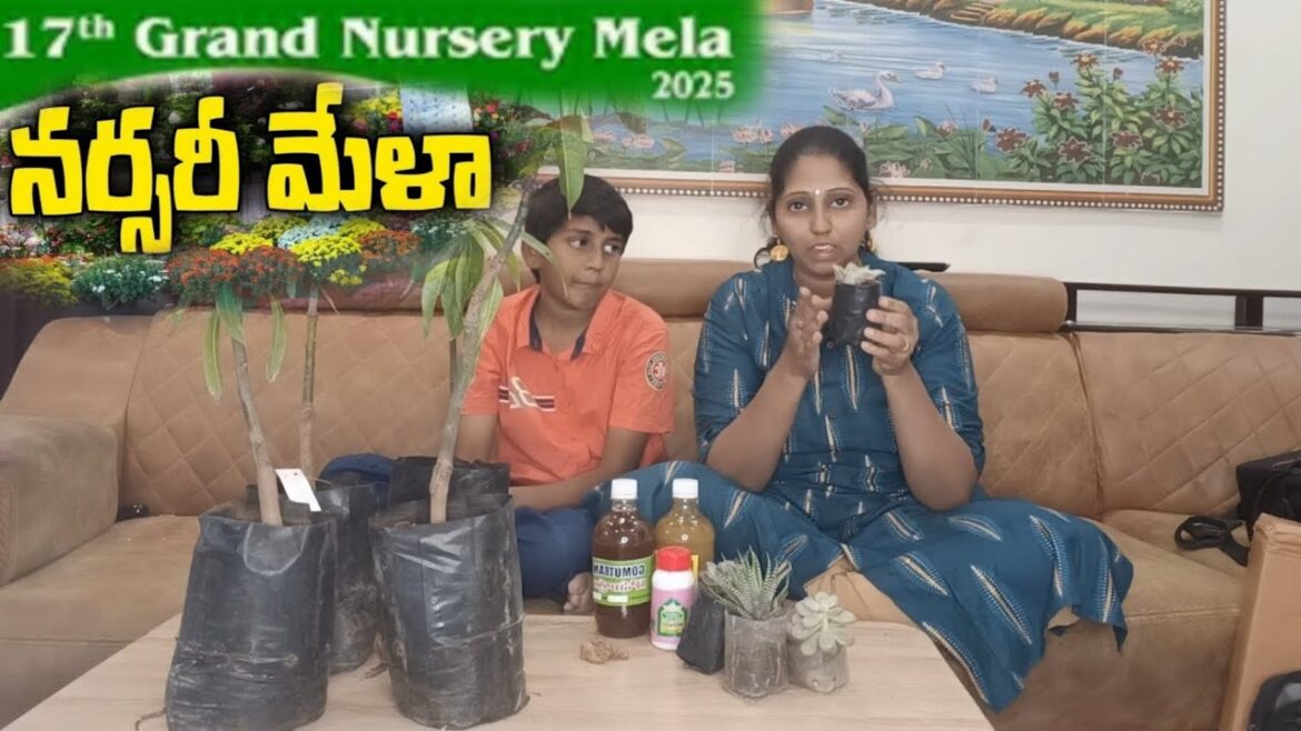 నర్సరీ మేళా  2025 Visiting Nursery Mela in Hyderabad | January 30-February 3"