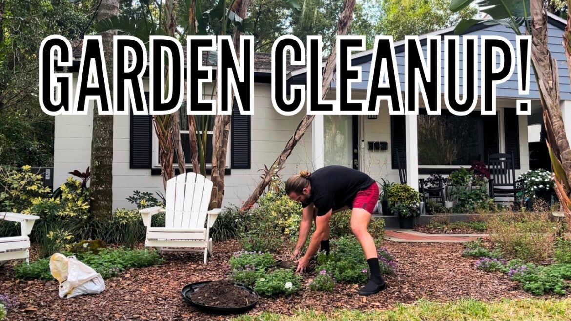 Perennial Plant Cleanup | Spring Garden Prep | Transplanting & Pruning // The Gardener's Garden