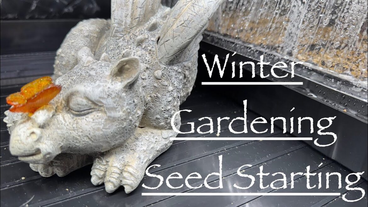 Seed Starting Tips & Observations, Snow Filled Garden Views 🌱❄️Ep32