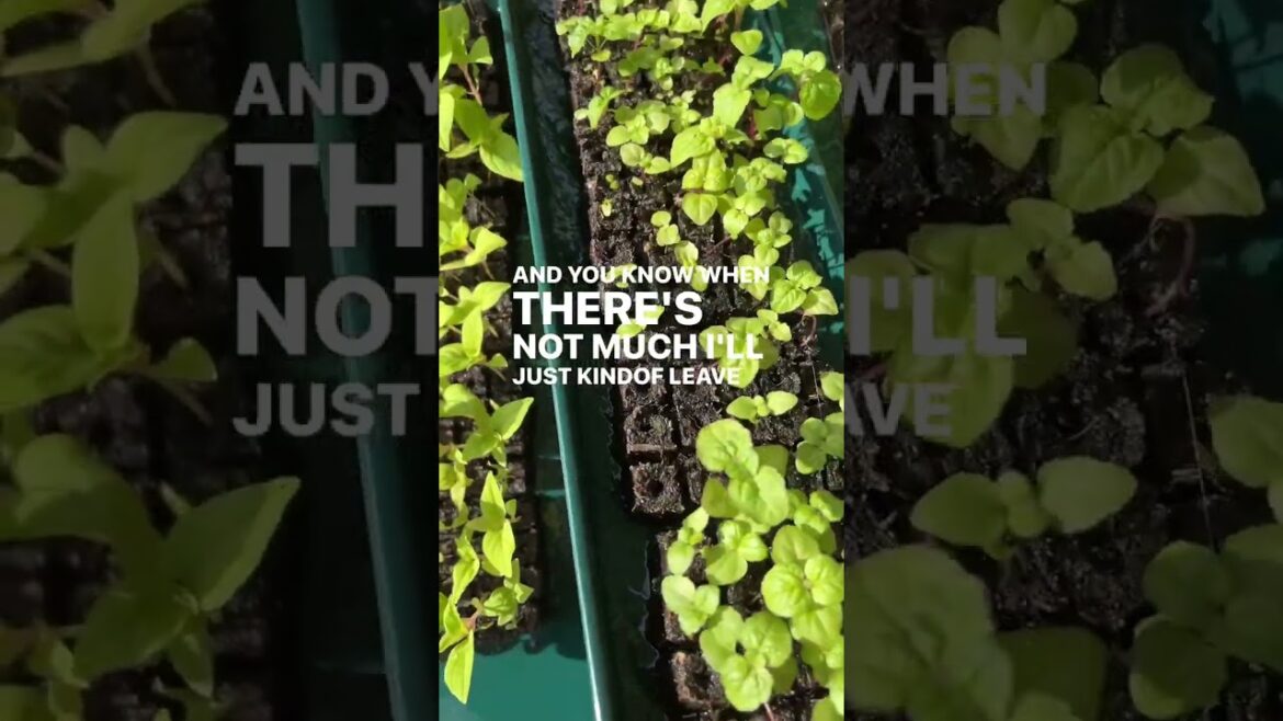 Don’t miss the 20% off coupon code: Take20 Good on the website and phone APP stores! Tools, seeds,