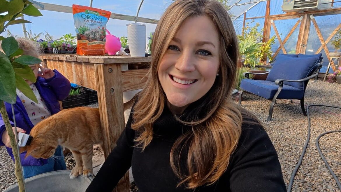 Garden Answer: Repotting a Blood Orange Tree & New Concrete at the Garden Center! 🥰🪴🍊 // Garden Answer Repotting a Blood Orange Tree & New Concrete at the Garden Center! 🥰🪴🍊 // Garden Answer
